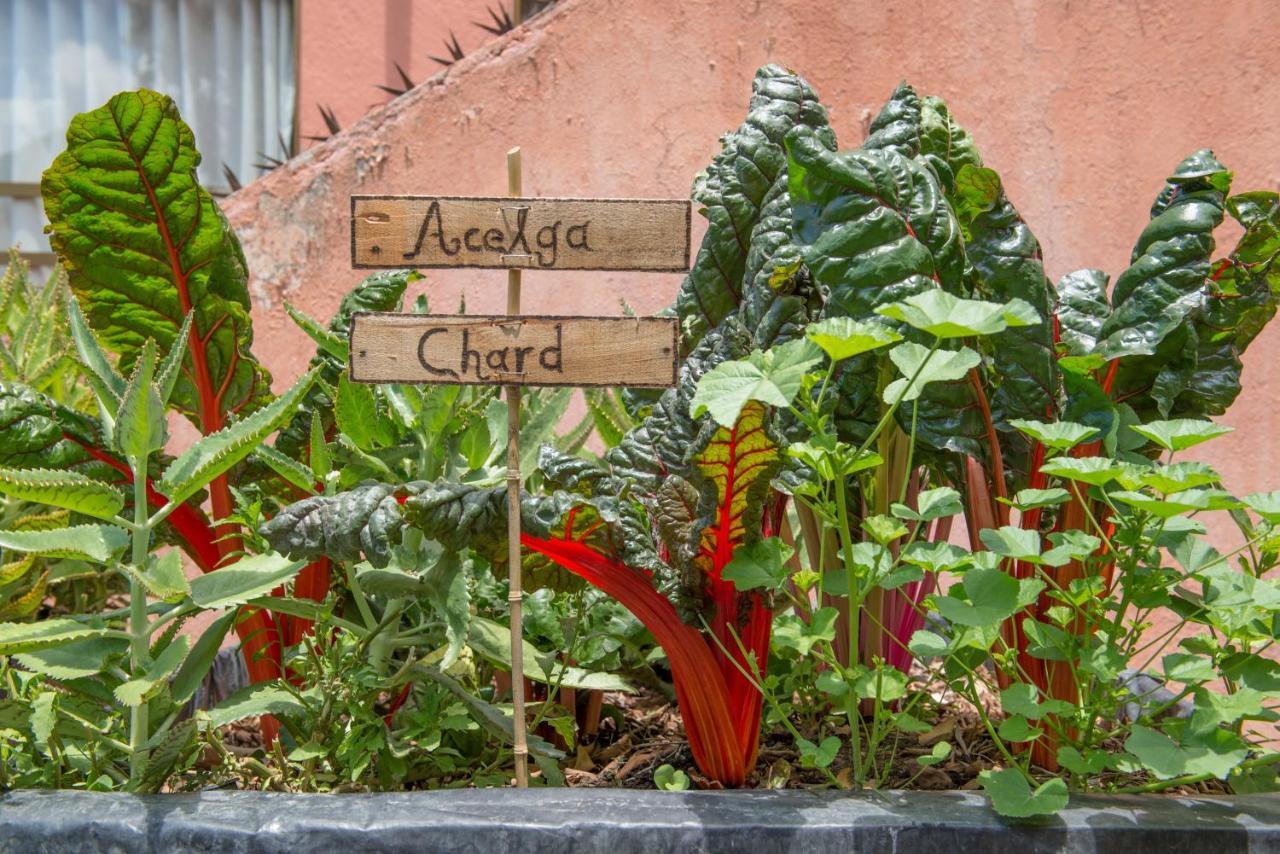 Casa Estrella De La Valenciana Hotel Boutique Guanajuato Kültér fotó