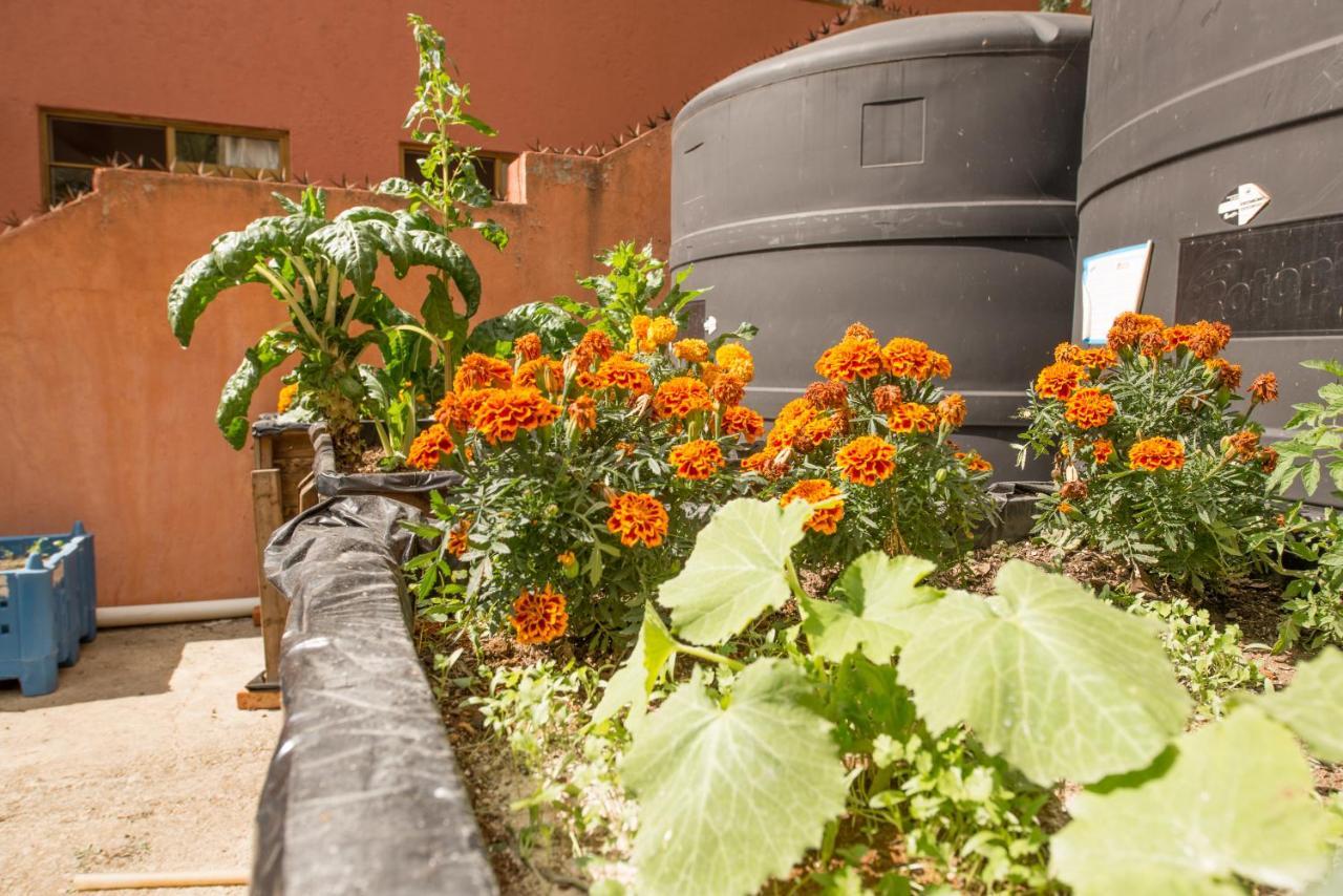 Casa Estrella De La Valenciana Hotel Boutique Guanajuato Kültér fotó