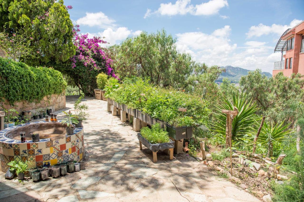 Casa Estrella De La Valenciana Hotel Boutique Guanajuato Kültér fotó