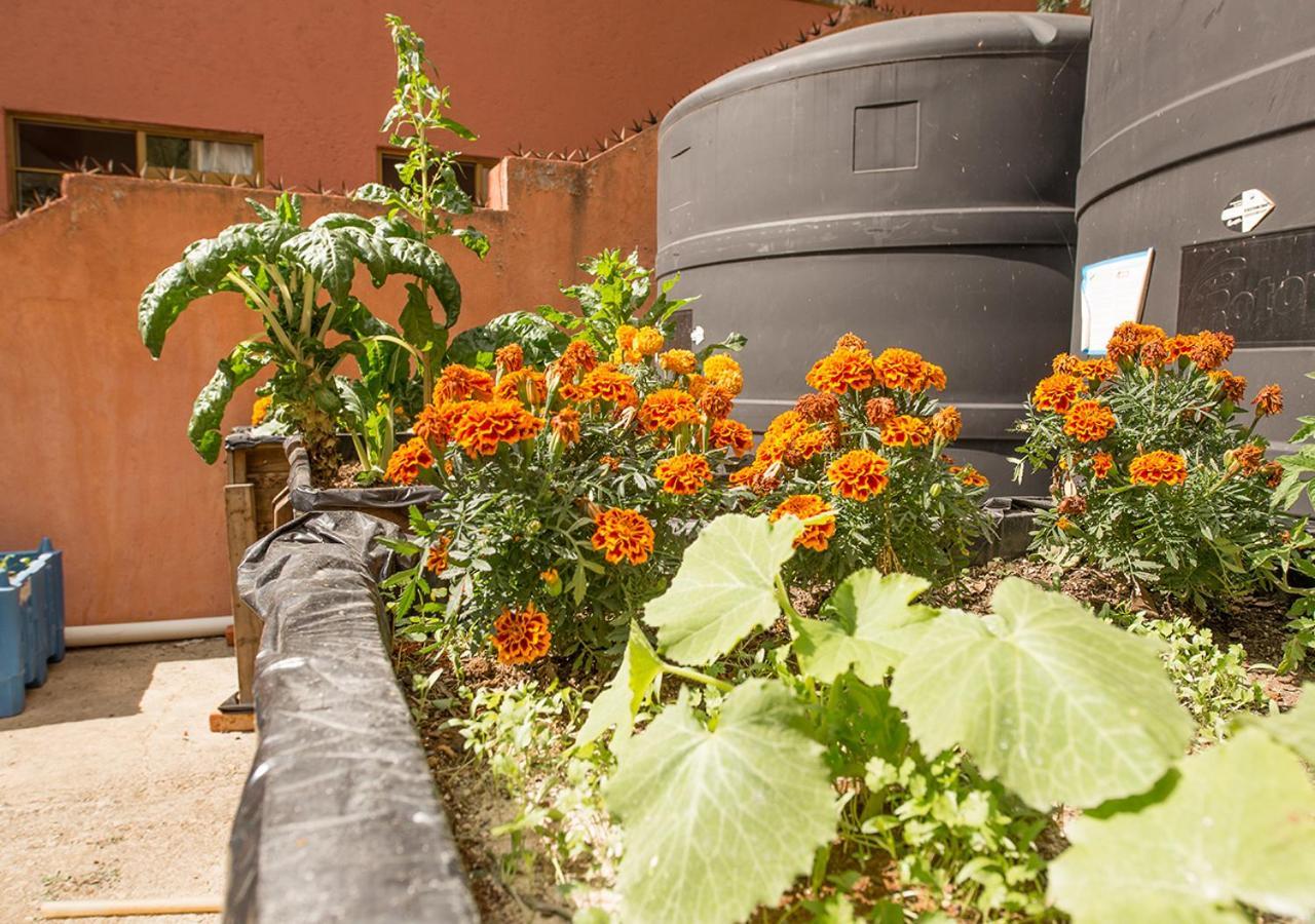 Casa Estrella De La Valenciana Hotel Boutique Guanajuato Kültér fotó