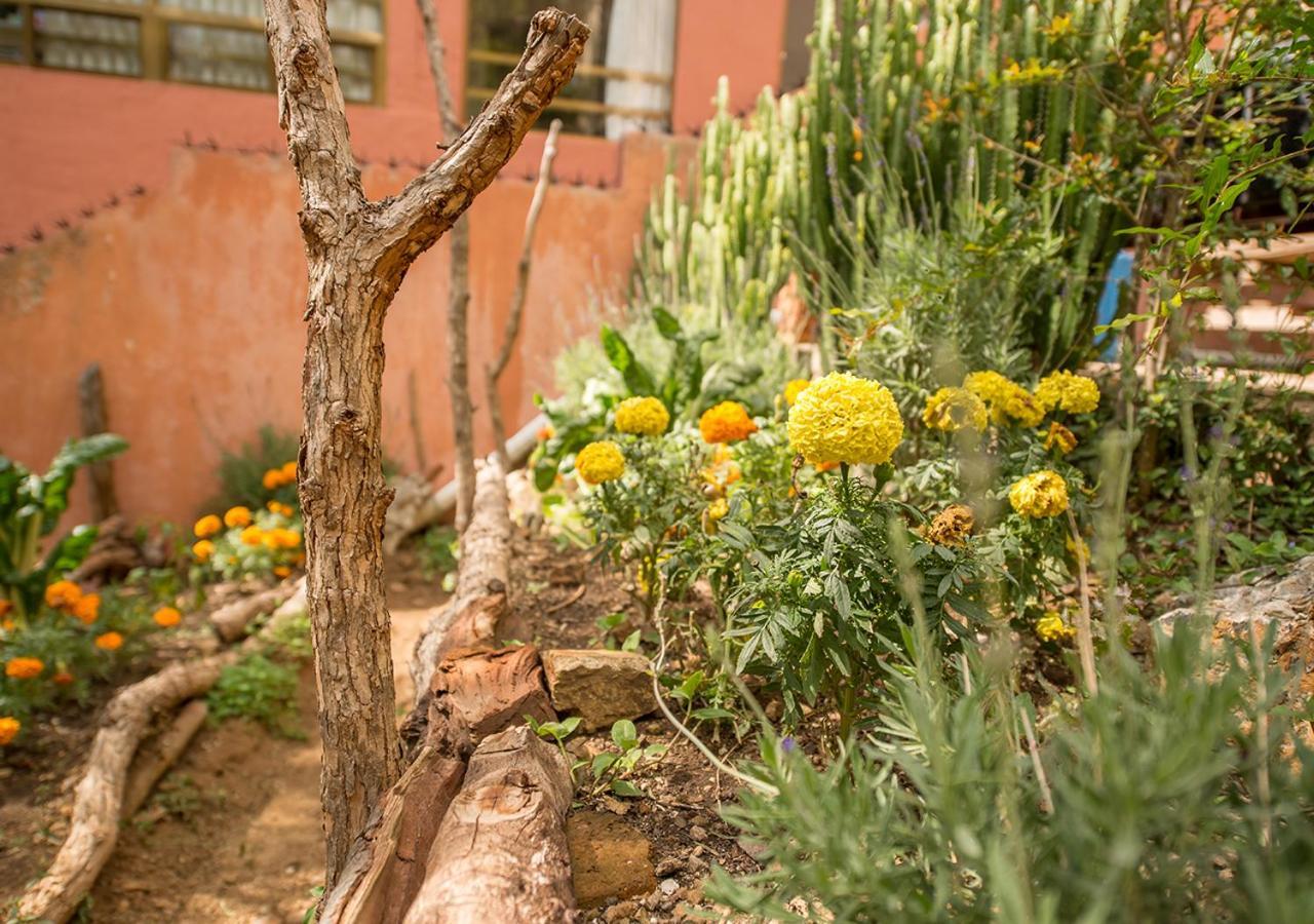 Casa Estrella De La Valenciana Hotel Boutique Guanajuato Kültér fotó