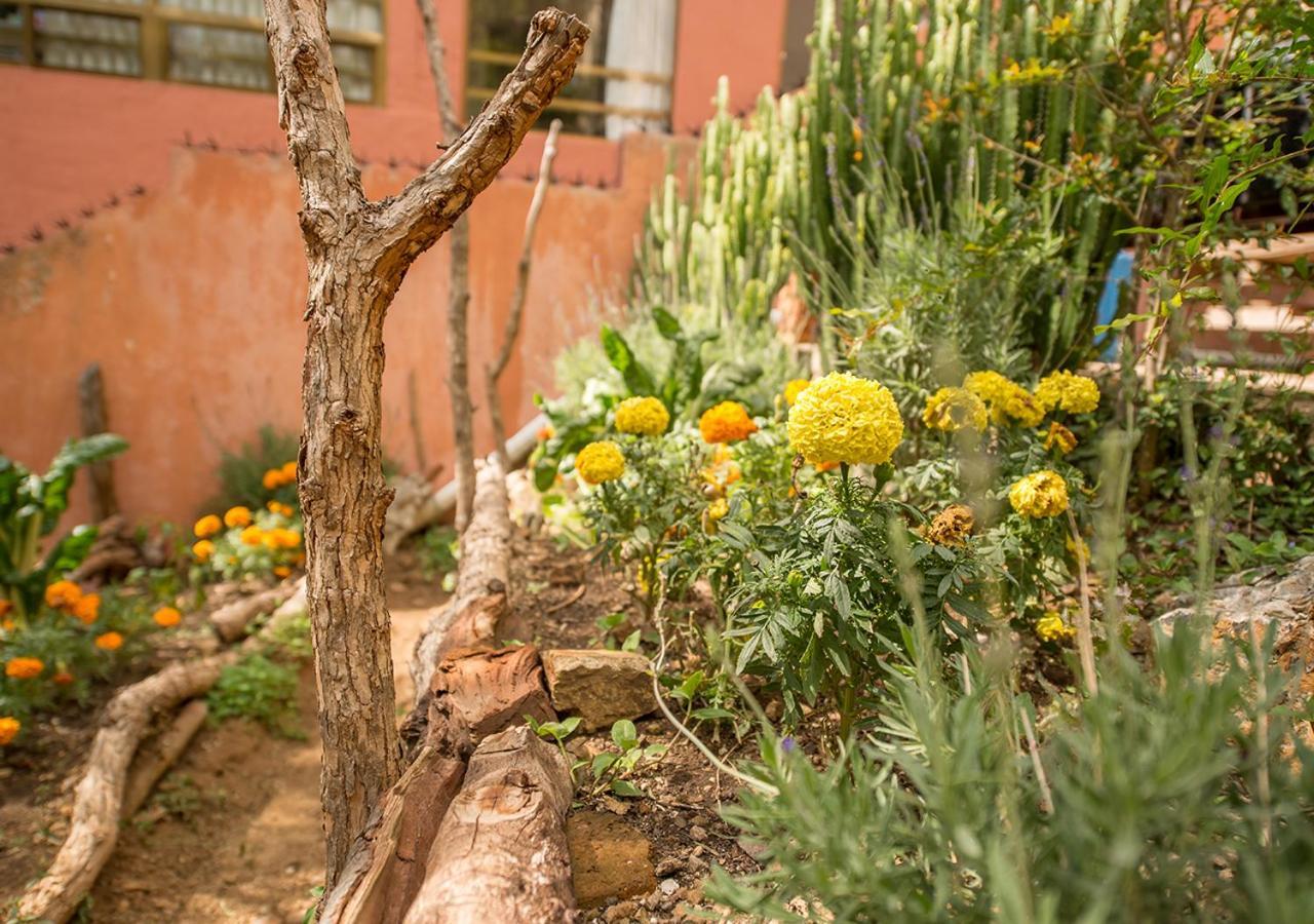 Casa Estrella De La Valenciana Hotel Boutique Guanajuato Kültér fotó